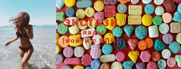 ECSTASY Богородицк