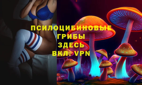 ECSTASY Богородицк