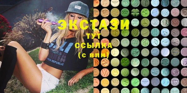 ECSTASY Богородицк